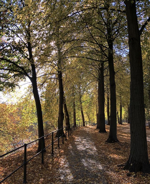 Über die Promenade sind es vom Schloss aus nur wenige Schritte bis zum Aasee.