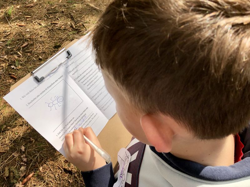 Wir Kinder bekommen anschließend einen Aufgabenzettel und werden zu Ameisen-Forschern.