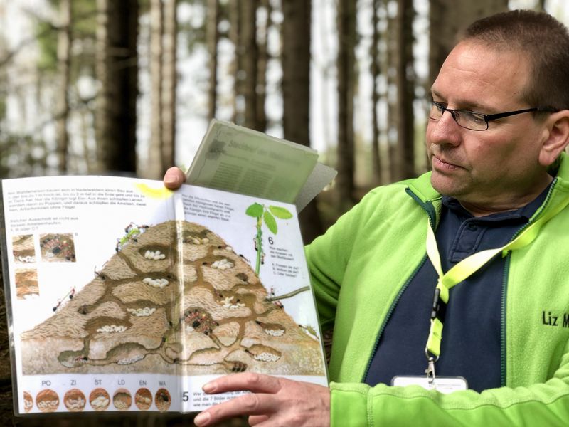 Wie ist ein Ameisenhaufen aufgebaut? Tobias Babusch hat Anschauungsmaterial dabei.