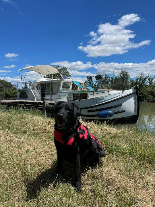 Hausboot mit Hund: Hausboot mit Hund: Sicherheitshalber trug Emmi bei den Manövern ihre Schwimmweste.