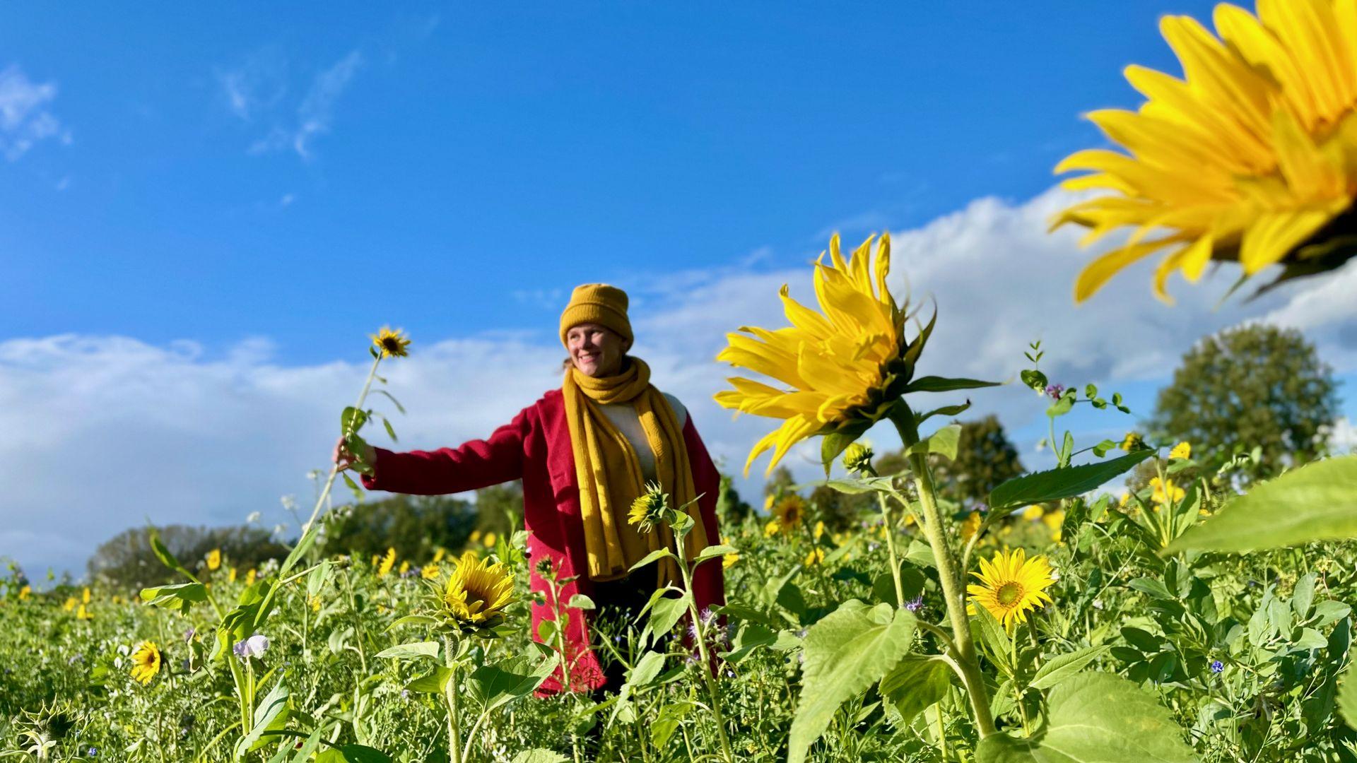 Elkline und Nachhaltigkeit: Nachhaltigkeit auf dem Feld: Die kräftigen Farben leuchten mit den Sonnenblumen um die Wette.