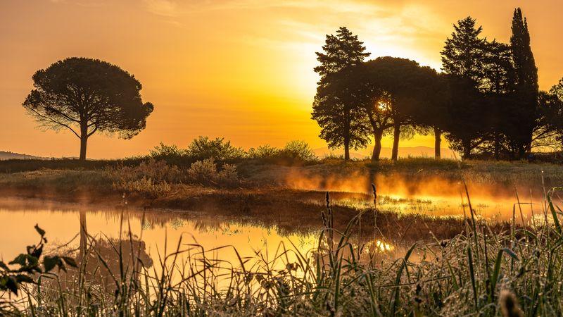 Reise in den Heimathafen: Mit Antares durch Italien - Ein magischer Ort: Das Naturschutzgebet Diaccia Botrona in der Maremma ist ein Paradies für Naturliebhaber.